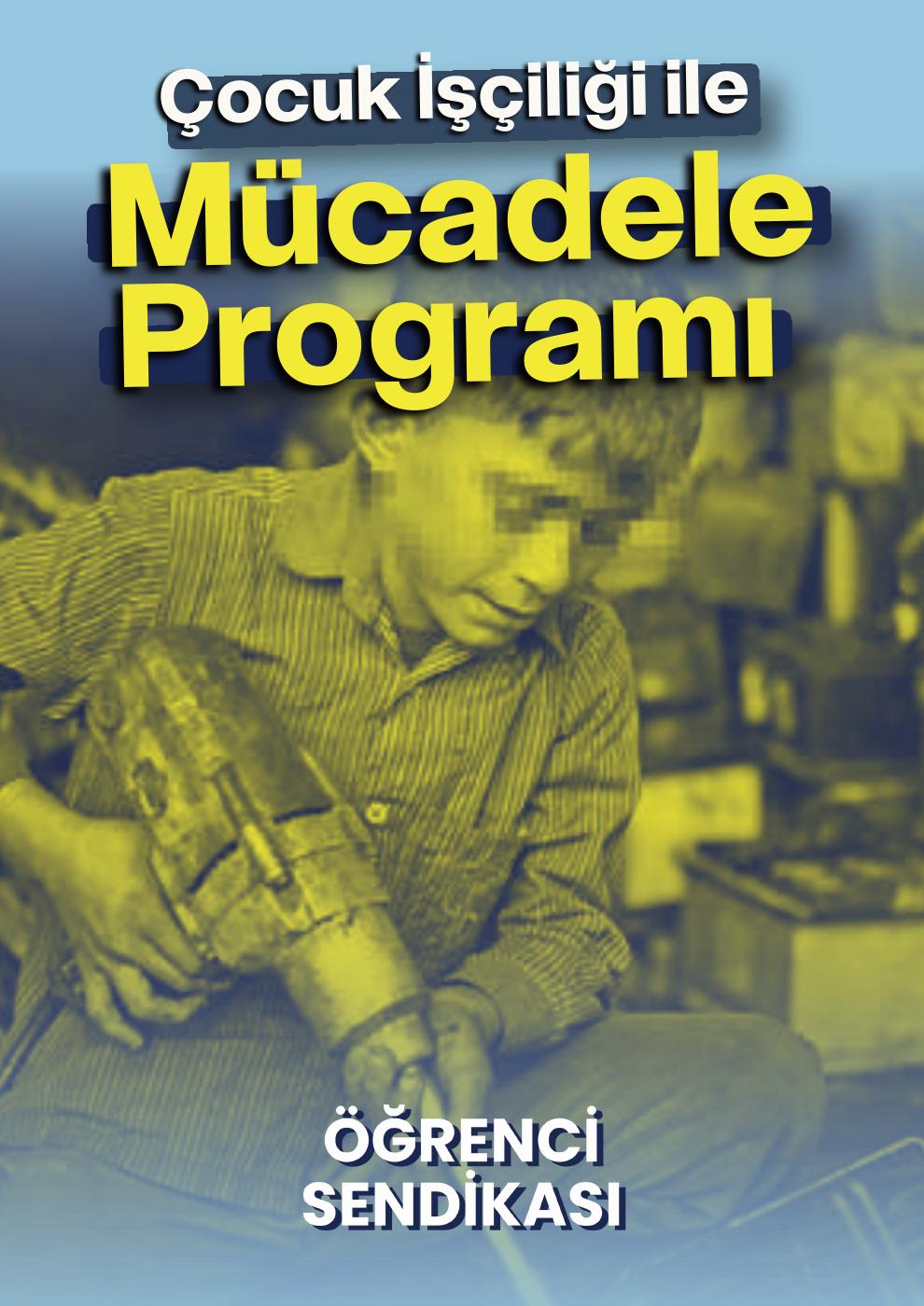 Çocuk İşçiliği ile Mücadele Programı kapak görseli