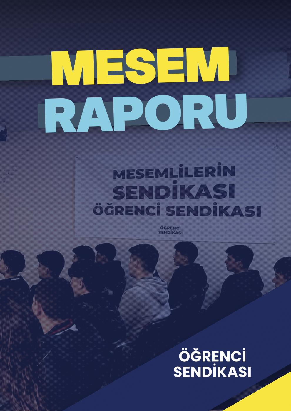 MESEM Raporu kapak görseli
